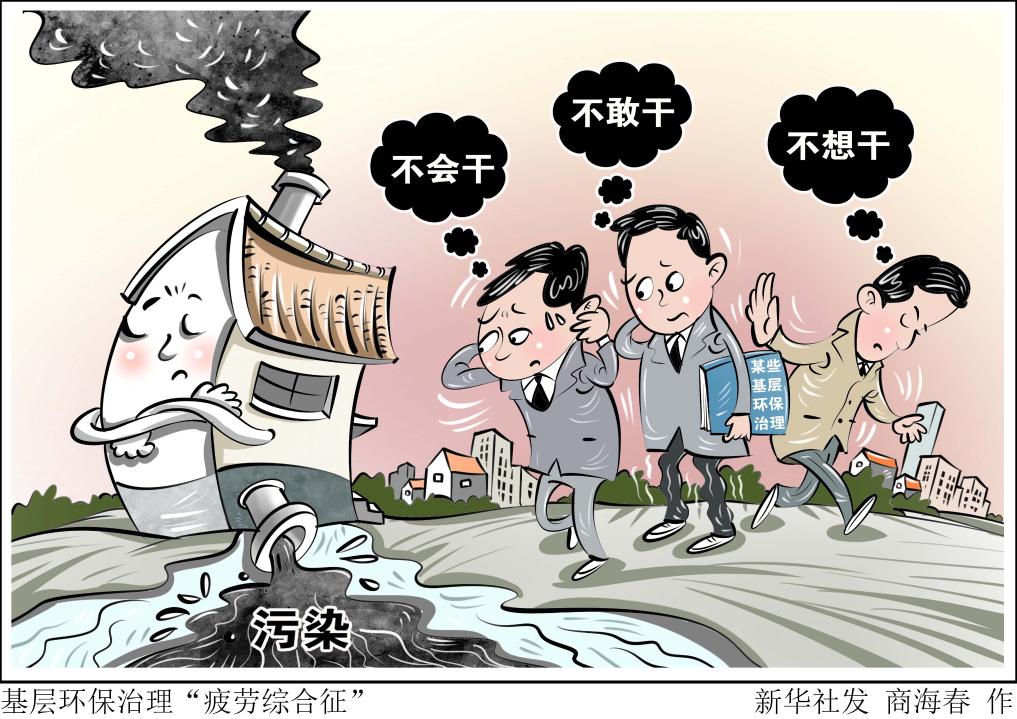 审核